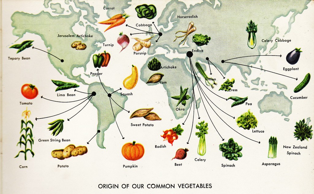 la-historia-de-los-vegetales-tecnoplant-srl