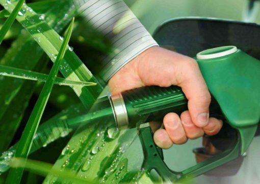 Bioetanol, una buena alternativa para la transición energética del transporte